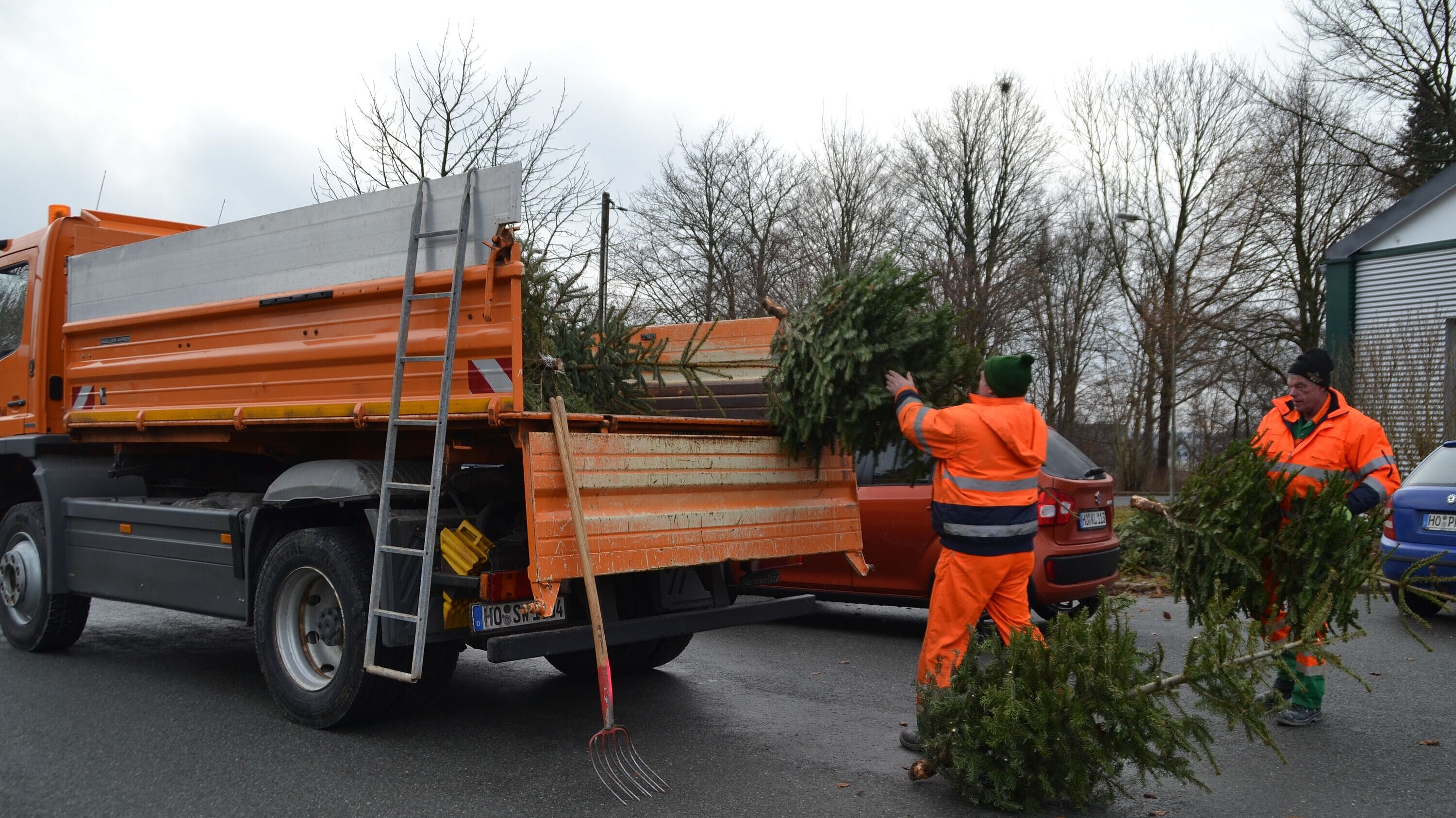 Bauhof sammelt Weihnachtsbäume ein