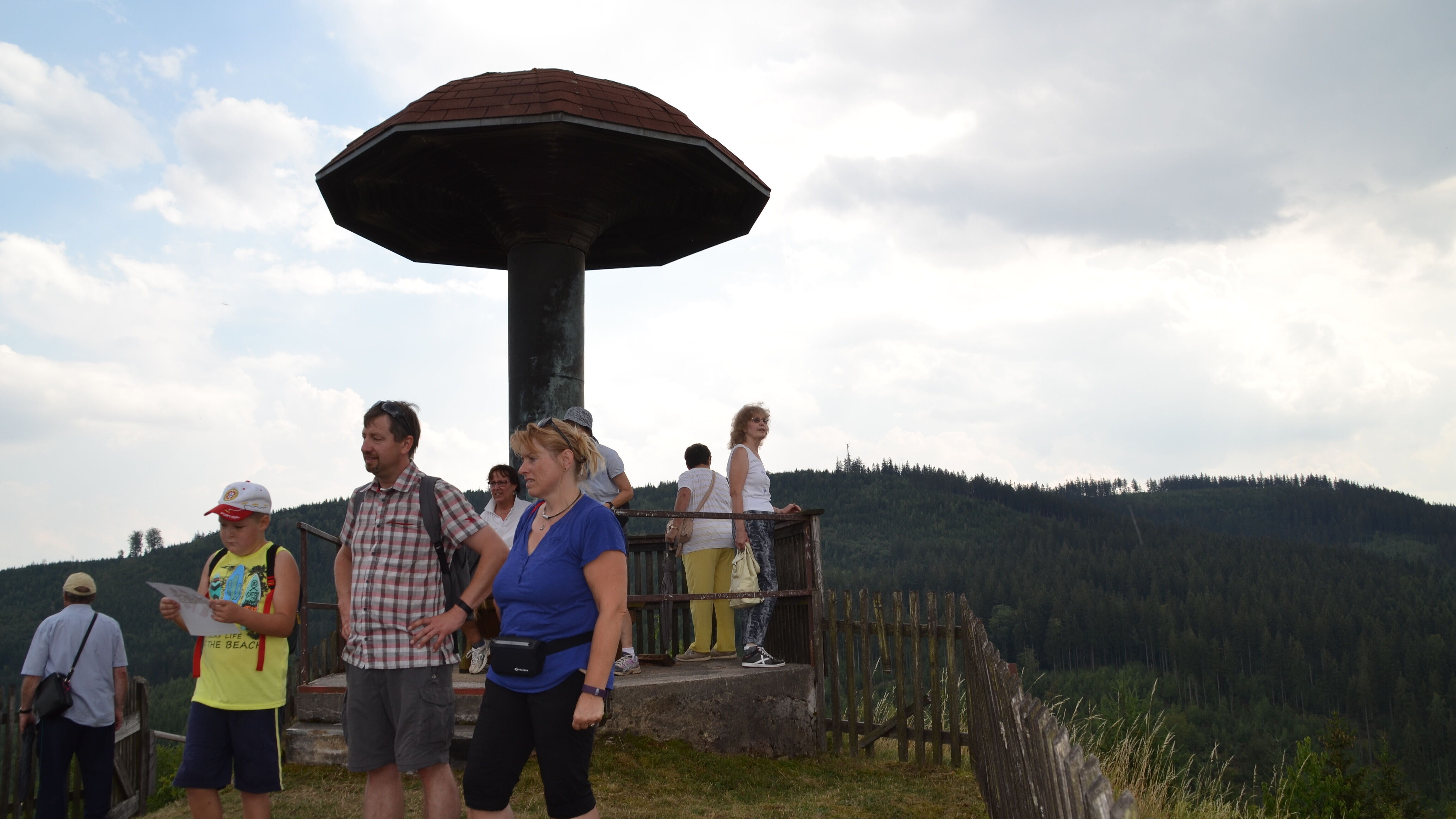 SCHWAMMA (HOLZPILZ)